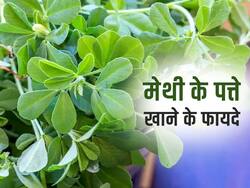 सर्दियों में खूब खाएं मेथी के पत्ते, दूर होंगी ये 4 बीमारियां