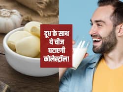 हाई कोलेस्ट्रॉल में रोज रात को दूध के साथ इस 1 चीज का सेवन कम कर सकता है LDL Cholesterol! मिलेंगे ये 5 फायदे