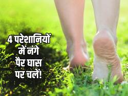 शरीर की इन 4 परेशानियों में 100% आराम पहुंचाती है हरी घास पर 20 मिनट वॉक, जानें कौन सी परेशानियां होती हैं दूर