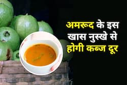 कब्ज से परेशान? अमरूद से बना ये देसी नुस्खा सुबह उठते ही करेगा पेट साफ, जानें बनाने का तरीका