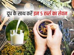 दूध में मिला कर लें ये 5 जड़ी बूटियां, स्टैमिना बढ़ाने के साथ कई समस्याओं से दिलाएगा निजात