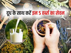 दूध में मिला कर लें ये 5 जड़ी बूटियां, स्टैमिना बढ़ाने के साथ कई समस्याओं से दिलाएगा निजात