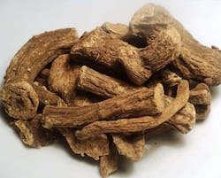 Costus (Kuth): Health Benefits, Uses And Side Effects