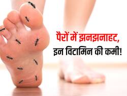 शरीर में इन 2 विटामिन्स की कमी से पैर मोड़कर बैठने पर होती है झनझनाहट! जानें कमी दूर करने वाले रिच सोर्स