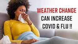 Flu & COVID-19: Changing Weather Can Lead To Flu & Other Health Problems, Watch Video