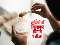 सर्दी की रात में गर्म दूध में डालकर पीना शुरू कर दें ये 1 चीज! आएगी चैन की नींद और बीमारियां रहेंगी 100 कोस दूर