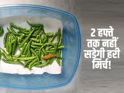 2 हफ्ते तक फ्रिज में नहीं सड़ेगी हरी मिर्च और हरी मिर्च की चटनी! पढ़ें हरी मिर्च को स्टोर करने का बेस्ट तरीका