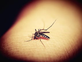 After Wristbands, A New 3D-Printed Wearable Ring Will Now Repel Mosquitoes