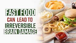 Fast Food & Brain Damage: Junk Foods Can Lead To Brain Dysfunction, Watch Video
