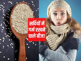 सर्दियां शुरू होने से पहले डिब्बों में भर लें ये 3 तरह के बीज! पूरे सीजन खाएंगे तो शरीर को रख पाएंगे गर्म और सेहतमंद सर्दियां शुरू होने से पहले डिब्बों में भर लें ये 3 तरह के बीज! पूरे सीजन खाएंगे तो शरीर को रख पाएंगे गर्म और सेहतमंद