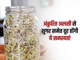 Sprouted flaxseed: सब ट्राई करने के बाद भी कम नहीं हो रहा शुगर तो खाएं अंकुरित अलसी, जानें इसके 4 जबरदस्त फायदे