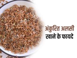 बढ़े हुए यूरिक एसिड को कम कर सकते हैं अंकुरित अलसी के बीज, जानें इसे खाने के 5 जबरदस्त फायदे