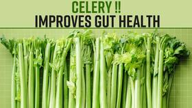 Benefits Of Celery: Celery Juice Helps In Weight Loss & Keeps You Fit, Watch Video