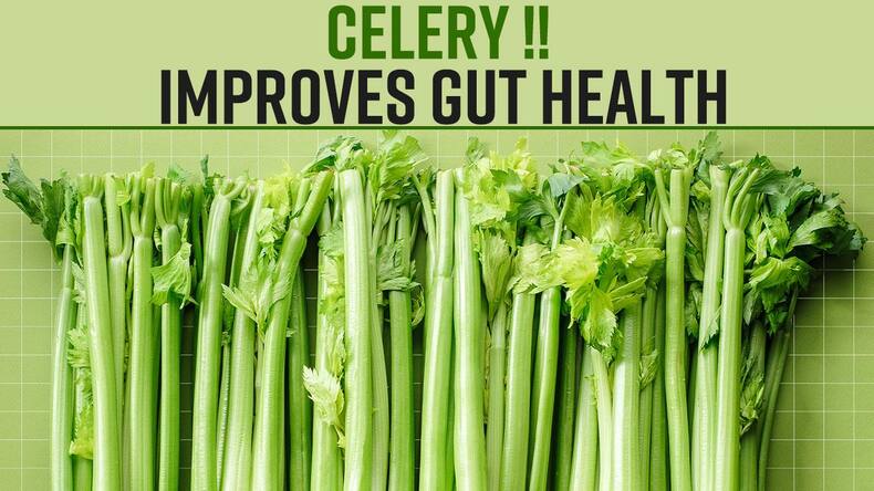 Benefits Of Celery: Celery Juice Helps In Weight Loss & Keeps You Fit, Watch Video