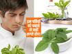 सुबह खाली पेट इस पौधे की पत्तियां चबाने से नहीं लगते ये 5 रोग! जानें किन बीमारियों को दूर करता है ये हरा पौधा