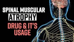 Spinal Muscular Atrophy: Suitable Treatment & Drug For SMA, Expert Speaks, Watch Video