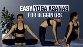 Yoga For Beginners: Easy Yoga Asanas For Beginners To Maintain A Good Health, Watch Video