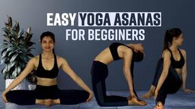 Yoga For Beginners: Easy Yoga Asanas For Beginners To Maintain A Good Health, Watch Video