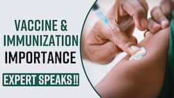 Immunization: Significance Of Vaccination To Fight Against Diseases, Expert Speaks, Watch Video