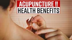 Acupuncture: Multiple Health Benefits Of Acupuncture & Things To Avoid Before The Therapy, Watch Video
