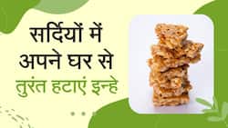 Winter Tips: सर्दियों में इन चीजों को तुरंत अपने घर से बाहर फेंके, Watch Video