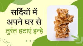 Winter Tips: सर्दियों में इन चीजों को तुरंत अपने घर से बाहर फेंके, Watch Video