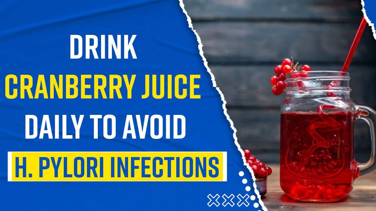 Cranberry Juice H Pylori Treatment informacionpublica.svet.gob.gt