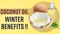 Coconut Oil: Know How Coconut Oil Is Beneficial For Your Hair, Skin & Health In Winters, Watch Video
