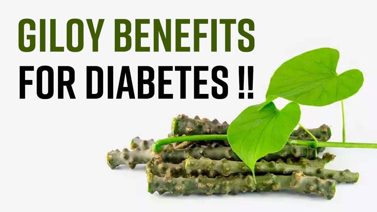 Giloy Health Benefits Know How The Consumption Of Giloy Juice Helps In