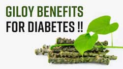 Giloy Health Benefits: Know How The Consumption Of Giloy Juice Helps In Managing Diabetes, Watch Video