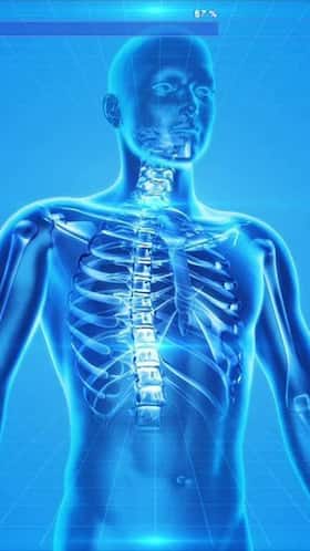 DNA को नुकसान पहुंचाने वाले 'आम' फूड्स