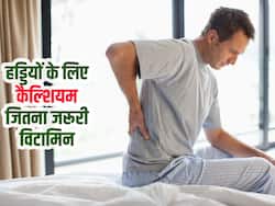 सिर्फ Calcium से नहीं होंगी हड्डियां मजबूत! शरीर को चाहिए ये खास Vitamin, जानें किन चीजों का सेवन है जरूरी