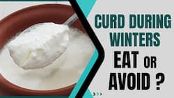 Curd In Winters: Including Curd On You Plate During Winters, Safe For Health Or Not, Watch Video