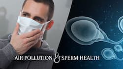 Sperm Health: 5 Tips To Improve Your Chances of Becoming a Dad