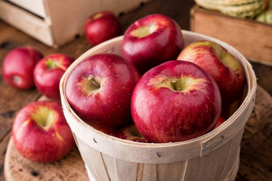 Winter Skin Care: Add These 5 Fruits To Your Diet For Glowing Skin