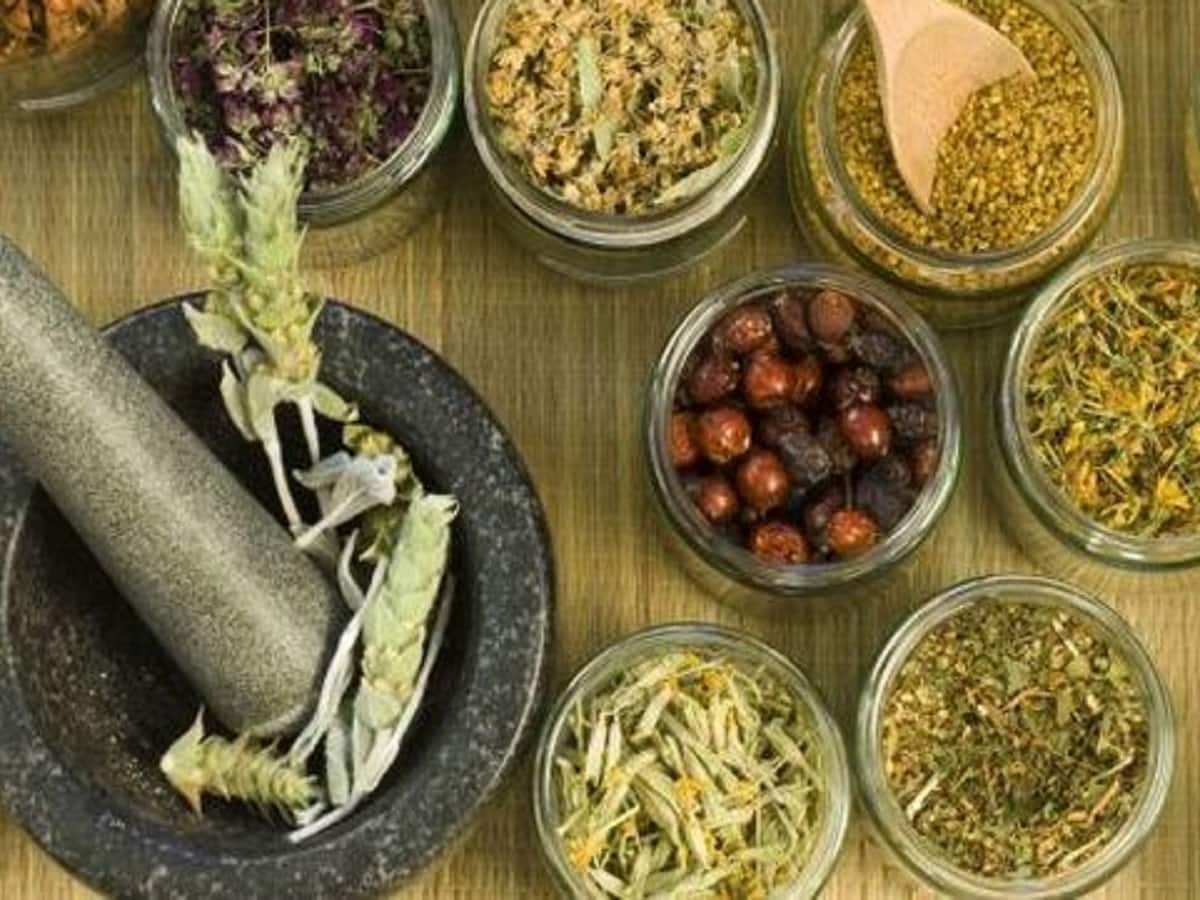 How To Live Healthy With Triads Of Ayurveda? | TheHealthSite.com