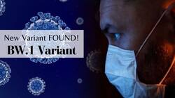 Beware! COVID Is Mutating, BW.1 Variant Has The Ability To Ditch Immunity, Experts Warn Against Leniency