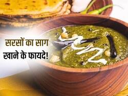 सर्दियों बहुत फायदेमंद है सरसों का साग, इन 4 रोगों में मिलता है सबसे ज्यादा फायदा