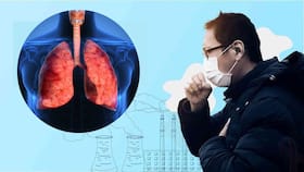 Air Pollution Can Damage Your Lungs, Cause Acute Bronchitis: 10 Warning Symptoms You Should Know
