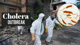 Deadly Cholera Outbreak Sweeps Across Lebanon: Should India Be Worried Too? Deadly Cholera Outbreak Sweeps Across Lebanon: Should India Be Worried Too?