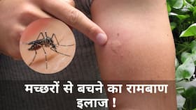 Home Remedies For Mosquito Bites: मच्छरों से बचे रहेंगे आप अगर करेंगे ये घरेलु उपचार, Watch Video Home Remedies For Mosquito Bites: मच्छरों से बचे रहेंगे आप अगर करेंगे ये घरेलु उपचार, Watch Video