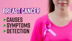 National Cancer Awareness Day: Know Why Early Detection Of Cancer Is Important, Stages & Treatment Involved, Watch Video