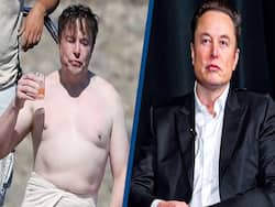 Flab To Fit: How Elon Musk Reduced His Weight By More Than 13 kg