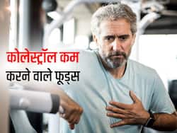 नसों में जमा कोलेस्ट्रॉल लेवल बन सकता है हार्ट अटैक की वजह, इन फलों को खाकर कंट्रोल करें इसे