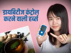 इन जड़ी बूटियों का करें सेवन जड़ से खत्म हो जाएगी डायबिटीज, खाते ही कंट्रोल हो जाएगा ब्लड शुगर