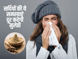 सर्दियों की इन समस्याओं का इलाज है मुलेठी, इन तरीकों से करेंगे सेवन तो हमेशा दूर रहेगी सर्दी-खांसी और फ्लू