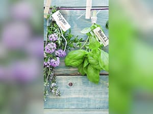 5 Ayurvedic Tips To Lower Blood Pressure