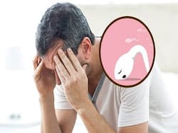 Diet And Male Fertility: Foods That Affect The Sperm Count