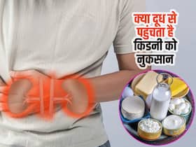 हेल्दी होने के बावजूद ये 2 चीजें बन सकती हैं किडनी के लिए काल, जानें किन फूड्स से किडनी को पहुंचता है नुकसान हेल्दी होने के बावजूद ये 2 चीजें बन सकती हैं किडनी के लिए काल, जानें किन फूड्स से किडनी को पहुंचता है नुकसान