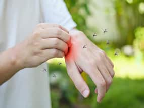 Some Of Us Get Bitten By Mosquitos Far More Than Others: Know Why